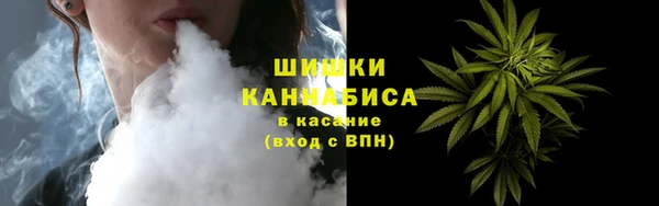 дмт Богданович