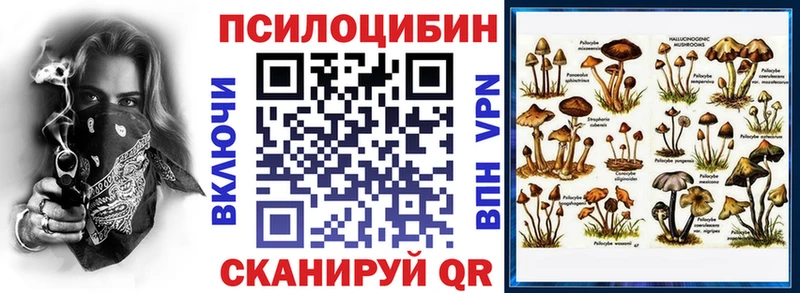 Галлюциногенные грибы мицелий  Шарыпово 
